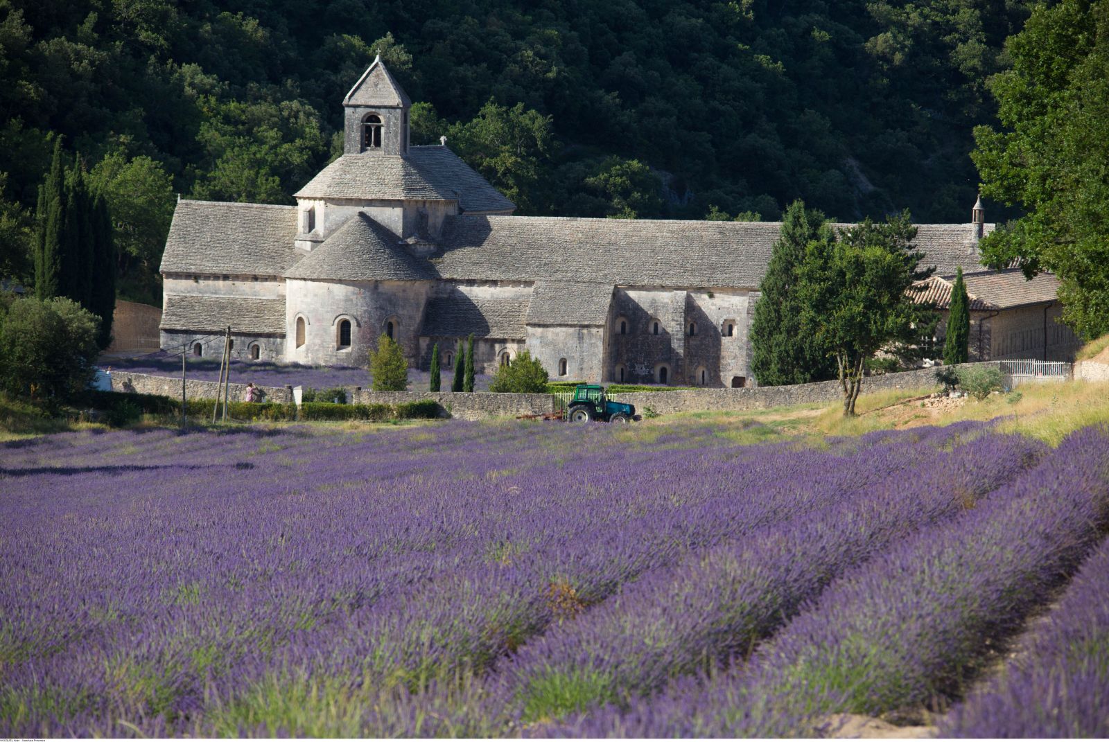 Abbey de Sénanque (c) HOCQUEL Alain - Vaucluse Provence