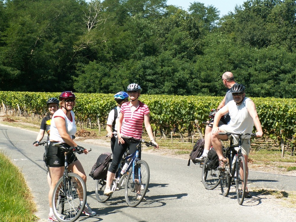 Cycling through vineyards, Bordeaux