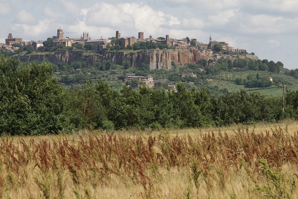 View of Orvieto in Umbria, ©2010 Simon Moss