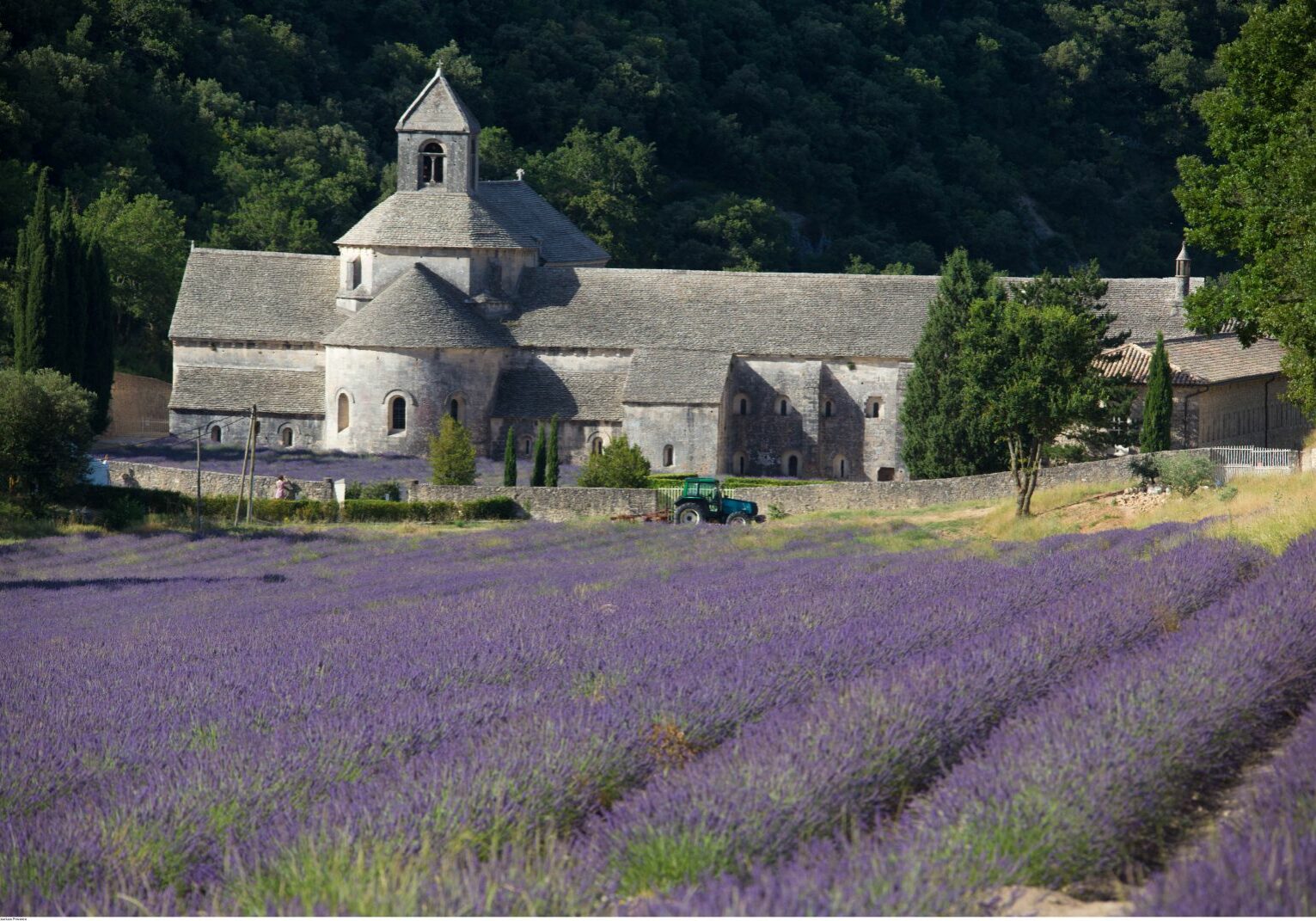 Abbey de Sénanque (c) HOCQUEL Alain - Vaucluse Provence